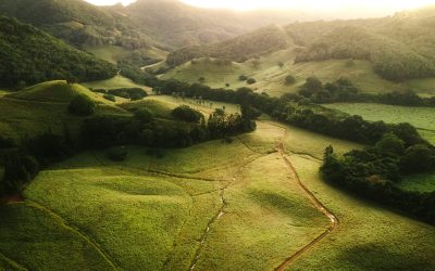 La Vallée de Ferney